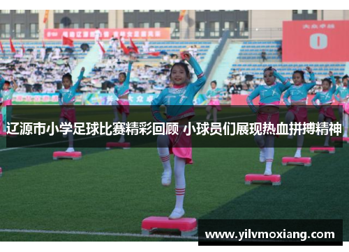 辽源市小学足球比赛精彩回顾 小球员们展现热血拼搏精神