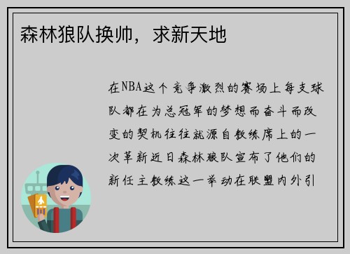 森林狼队换帅，求新天地