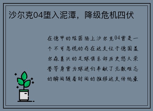 沙尔克04堕入泥潭,降级危机四伏